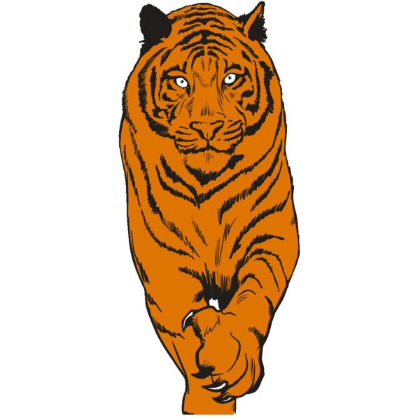 AR4 TIGER 08 RQC Thumbnail